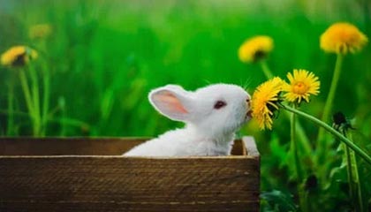 kaiyun官方入口登录-职业联赛媒体传播方式未贴近年轻群体